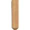 Ekena Millwork Legacy Craftsman Smooth Bracket, Western Red Cedar, 5 1/2"W x 20"D x 24"H BKT06X20X24LEC04SWR - alternate 3